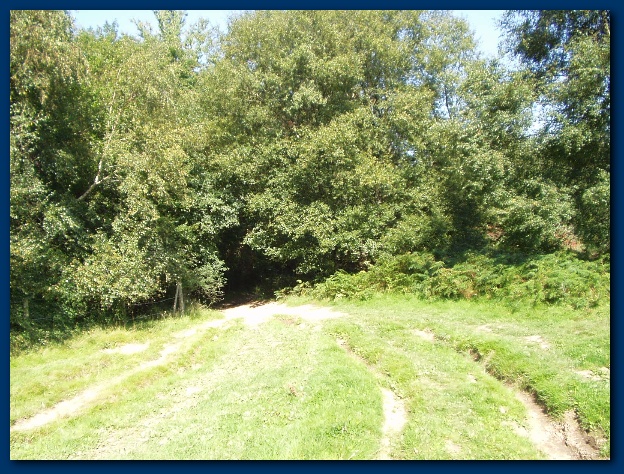 600x449 pixels (209K)